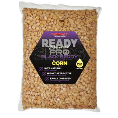 Graines Cuites Starbaits Ready Seeds Corn Pro Blackberry 4Kg500
